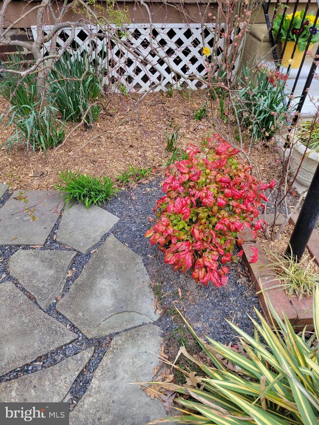 111 Curtis Ave, Collingswood, NJ 08108 - photo 4