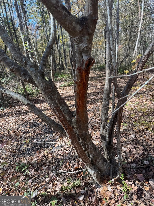 151 W Drummond Rd, West Point, GA 31833 - photo 4