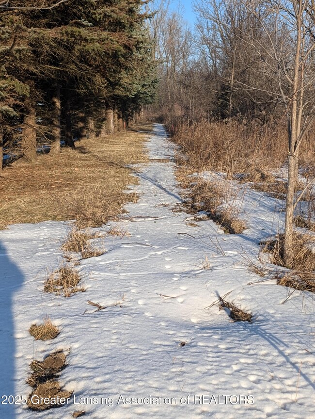 Easement
