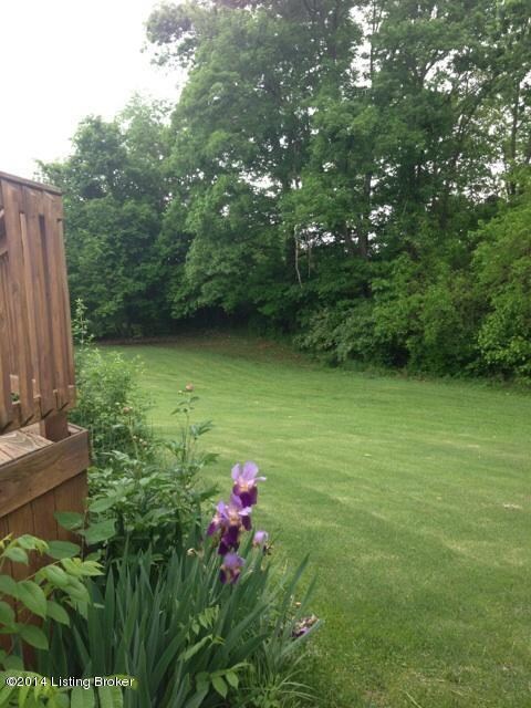 spacious back yard natural setting