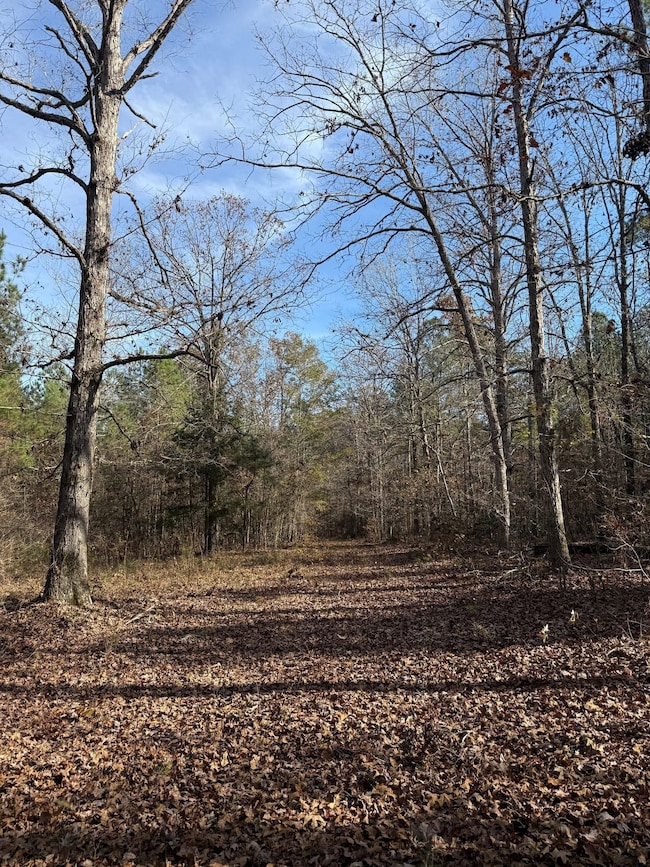 Roebuck Dr, Preston, MS 39354 - photo 3