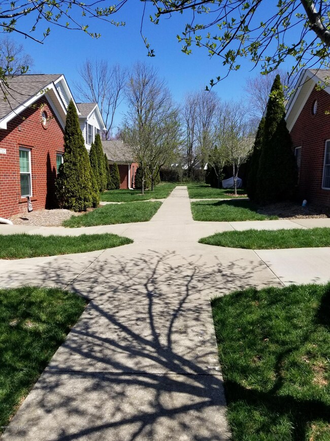 Front court