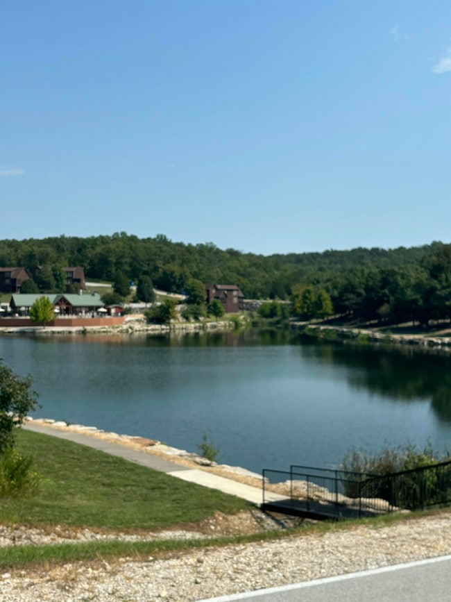 Lot #3 Fox Hollow Rd, Ruth C Township, MO 65737 - photo 7