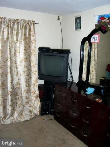 6907 Randolph Macon Dr, Alexandria, VA 22307 - photo 6