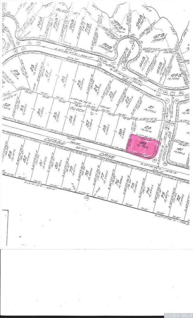 40 - L Green Dr, Athens, NY 12015 - photo 2