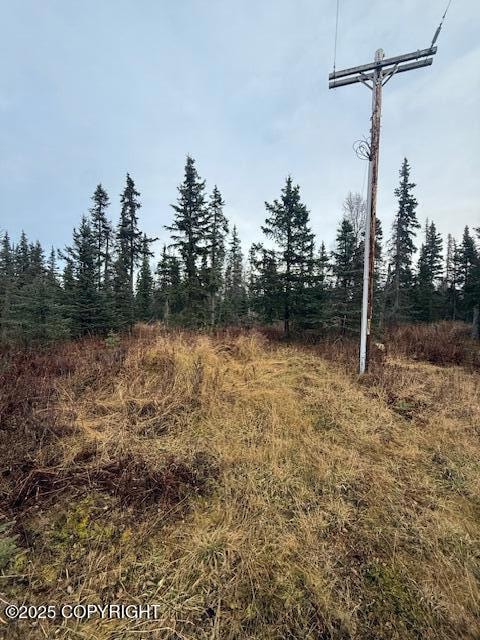 123 Johnny Rd, Kenai, AK 99611 - photo 2