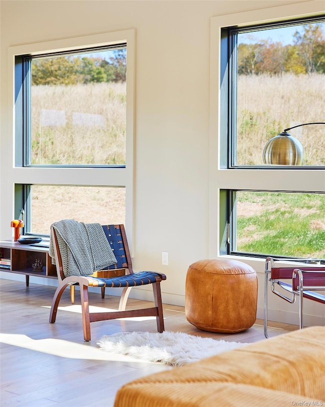 146 Buddenhagen Rd, Callicoon, NY 12723 - photo 6