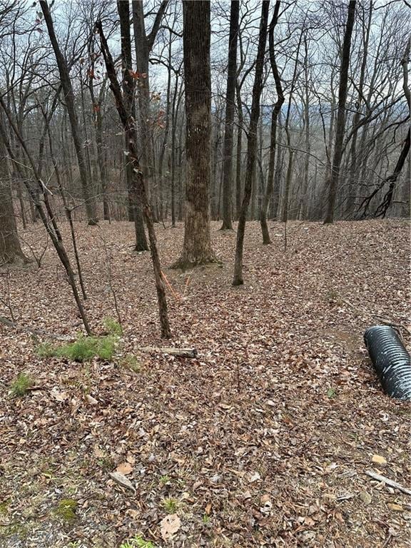 1225 Oglethorpe Rd, Jasper, GA 30143 - photo 6