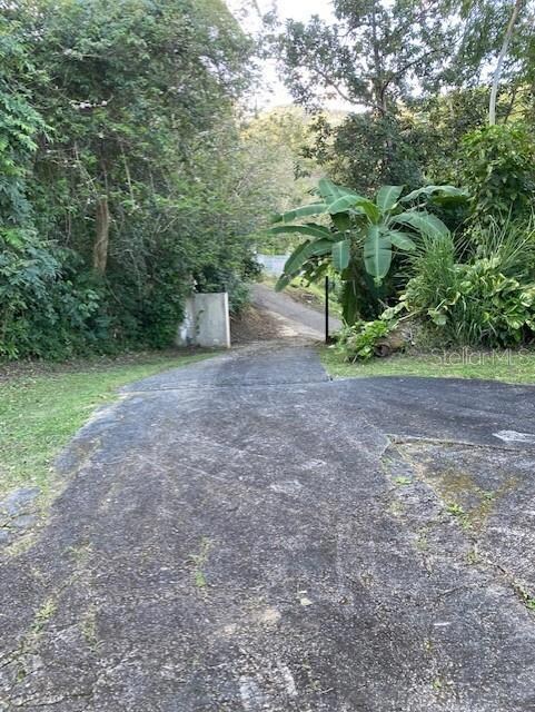 Sector Los Velazquez Carr 784 Km4 2 Bo Cañaboncito, Caguas, PR 00725 - photo 2