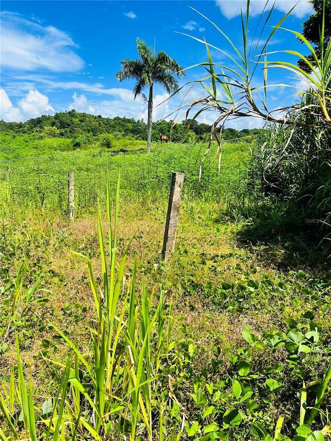857 Carretera, Carolina, PR 00987 - photo 3