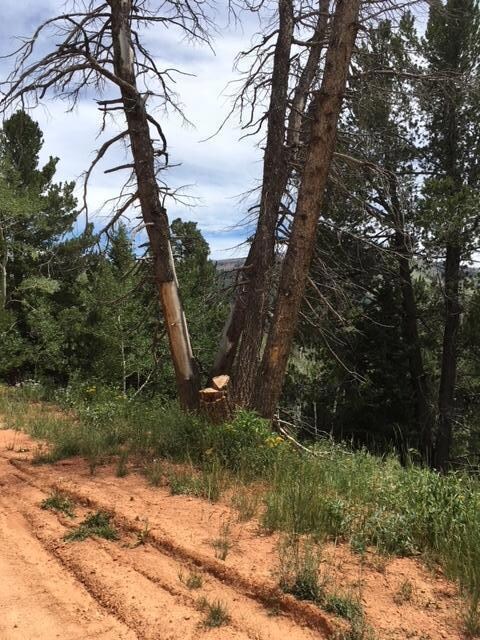 564 W Ski View Dr unit Lot 13-Bk A-Ski View, Brian Head, UT 84719 - photo 5