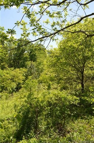 999 Retta Ln, Leicester, NC 28748 - photo 3