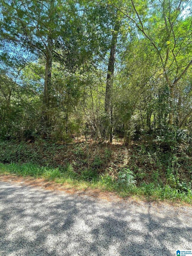 3449 Honeycutt Rd unit 123, Adamsville, AL 35005 - photo 4