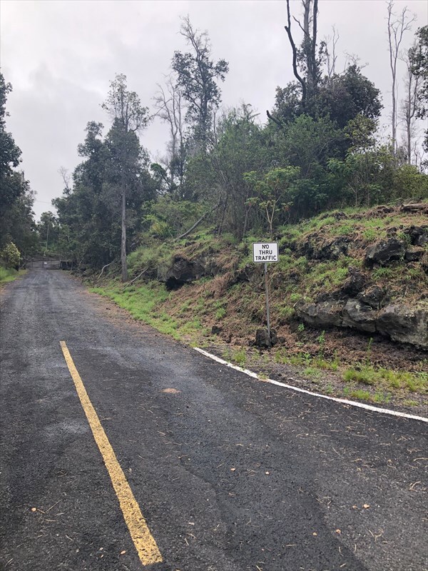 Dead end at the end of Tree Fern Lane