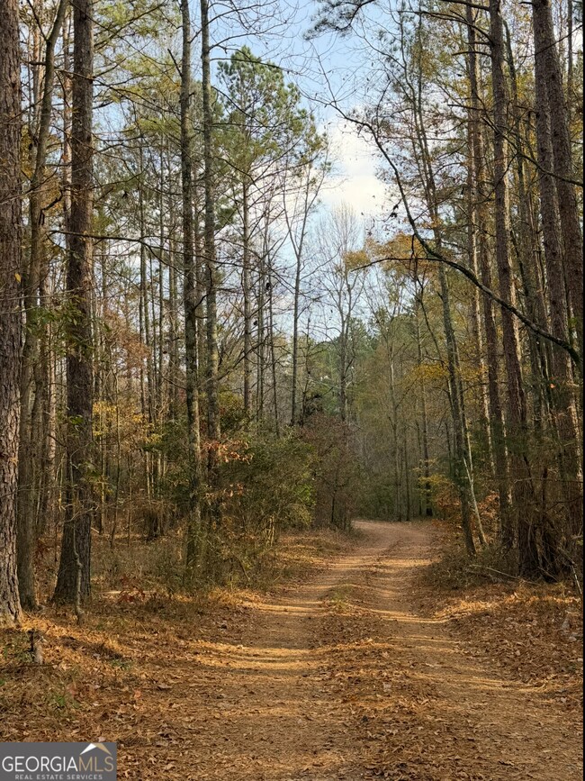 1006 Old Hoods Mill Rd, Commerce, GA 30529 - photo 5
