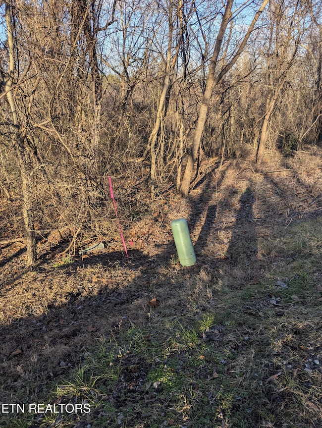 PXL_20250129_212253767