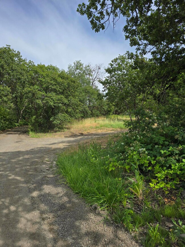 Foothill Driveway