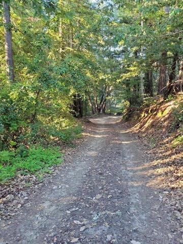 1 Skyview Rd, Boulder Creek, CA 95006 - photo 5