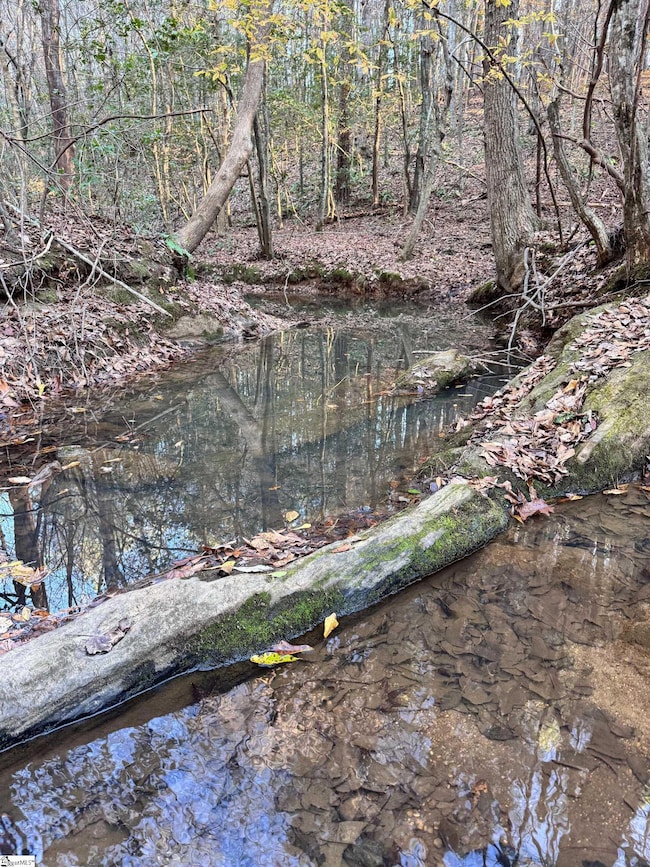 0 Eastview Rd, Pelzer, SC 29669 - photo 6