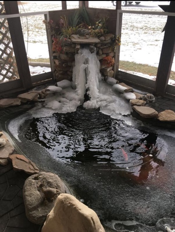 Pond