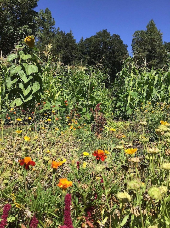 20241004210308079496000000-o