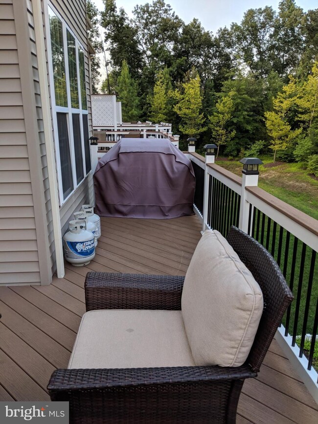 21697 Loganberry Terrace, Broadlands, VA 20148 - photo 4