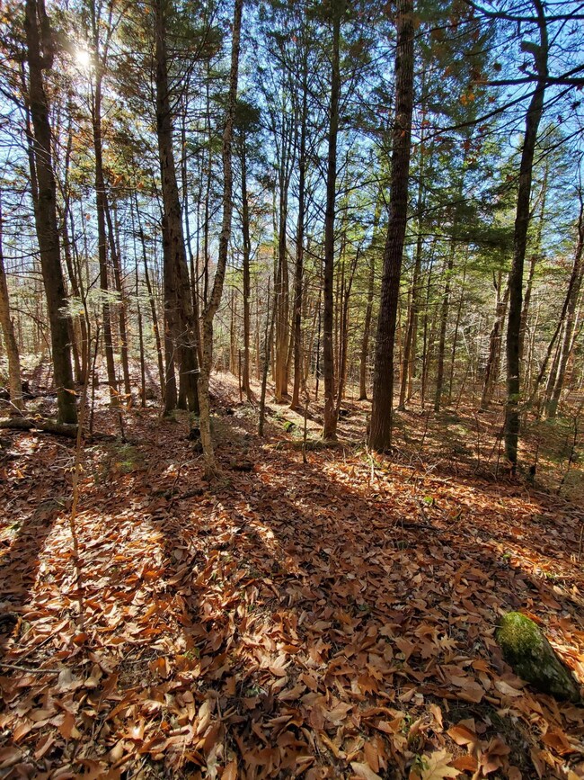 Lot 41 Fernalds Hill Way, Stow, ME 04037 - photo 2