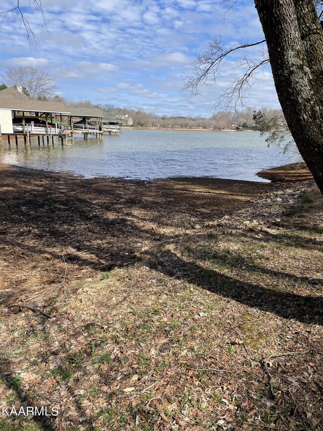 COMMONS TELLICOLAKE