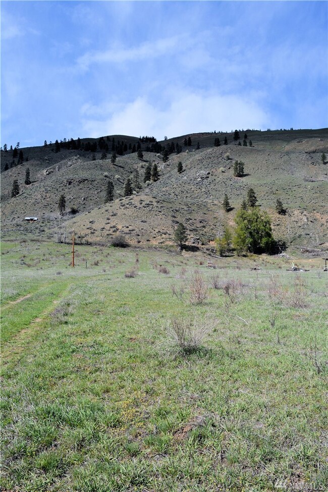 239 Twisp Carlton Rd, Twisp, WA 98856 - photo 7