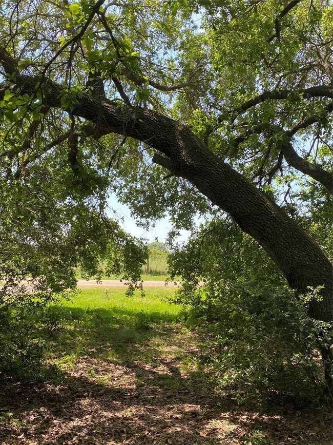 17810 Willow Run St, Hockley, TX 77447 - photo 2