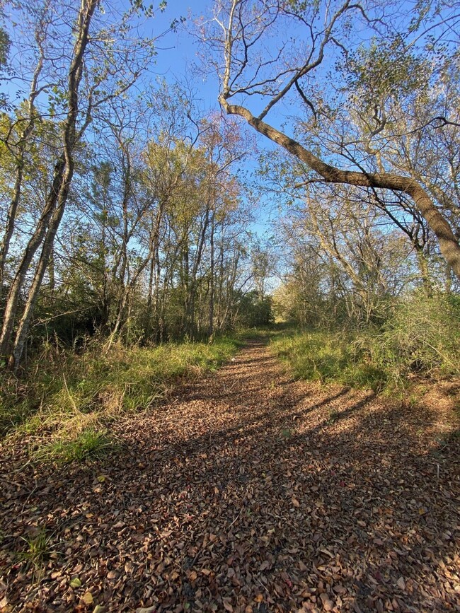 0 Cowan Rd unit 34856976, Algoa, TX 77511 - photo 7