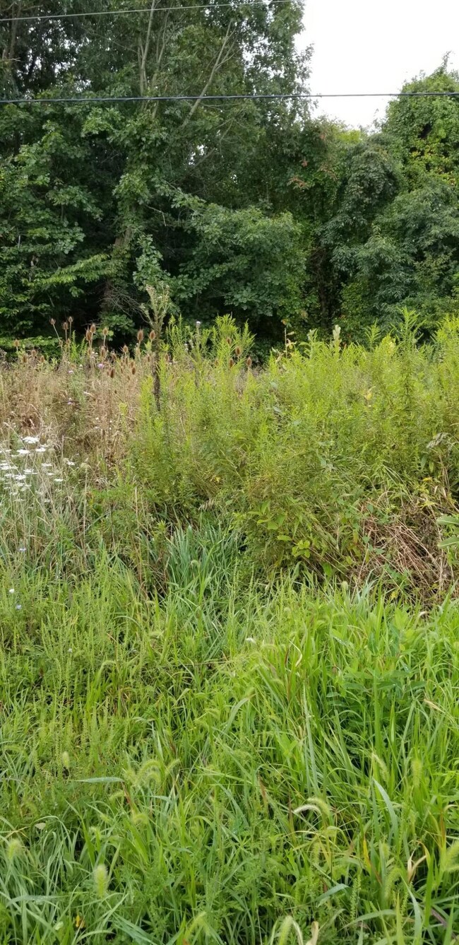 9082 Somerset Rd, Thornville, OH 43076 - photo 2