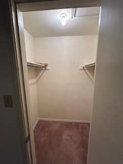 Spacious closet with dark colored carpet