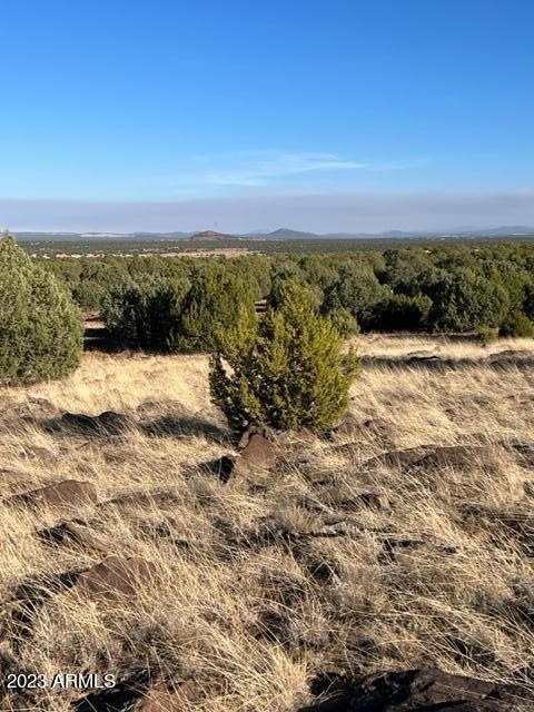 TBD Colt Ln, Show Low, AZ 85901 - photo 4