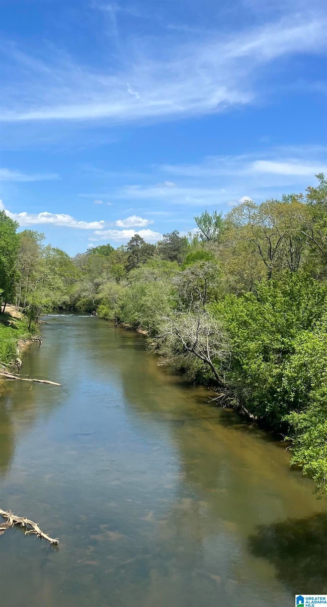268 Morris Rd, Blountsville, AL 35031 - photo 5