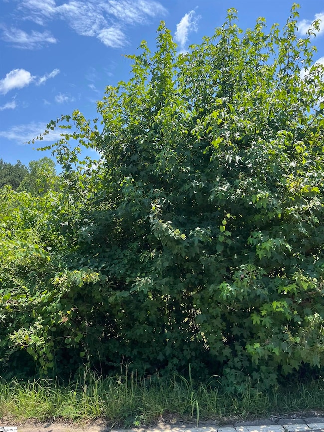 732 Keller Rd, Taylors, SC 29687 - photo 2