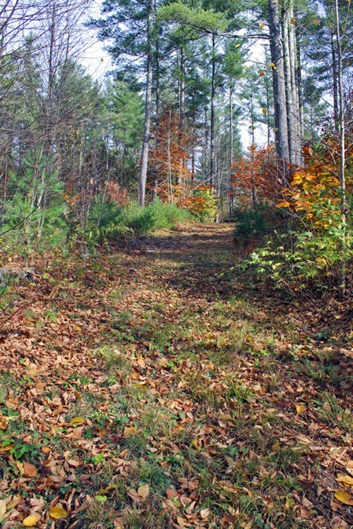 1 Middle Rd, Hawley, MA 01339 - photo 6