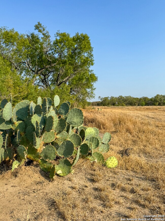 6870 County Road 329 (Tract 2-5), Jourdanton, TX 78026 - photo 6