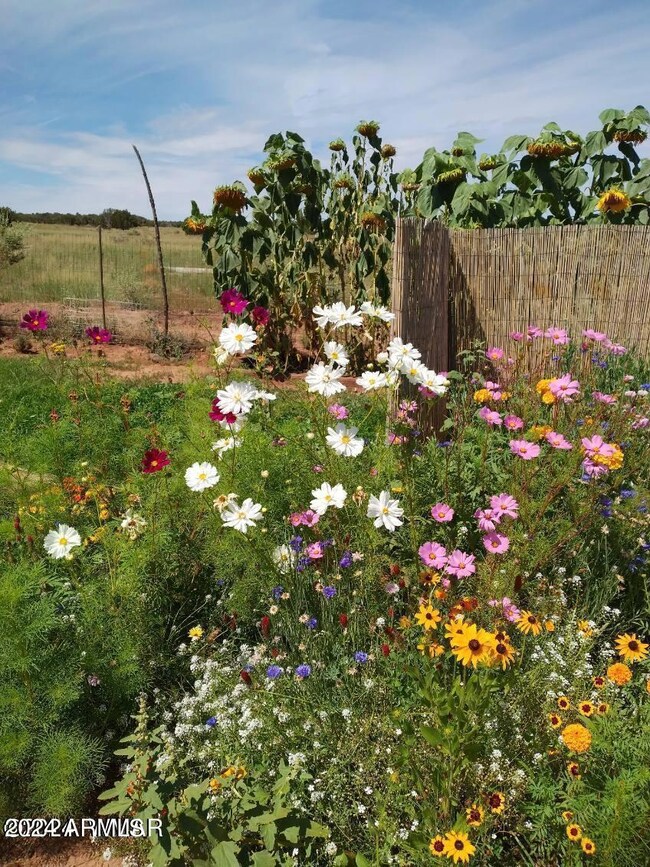 20240209170726721463000000-o