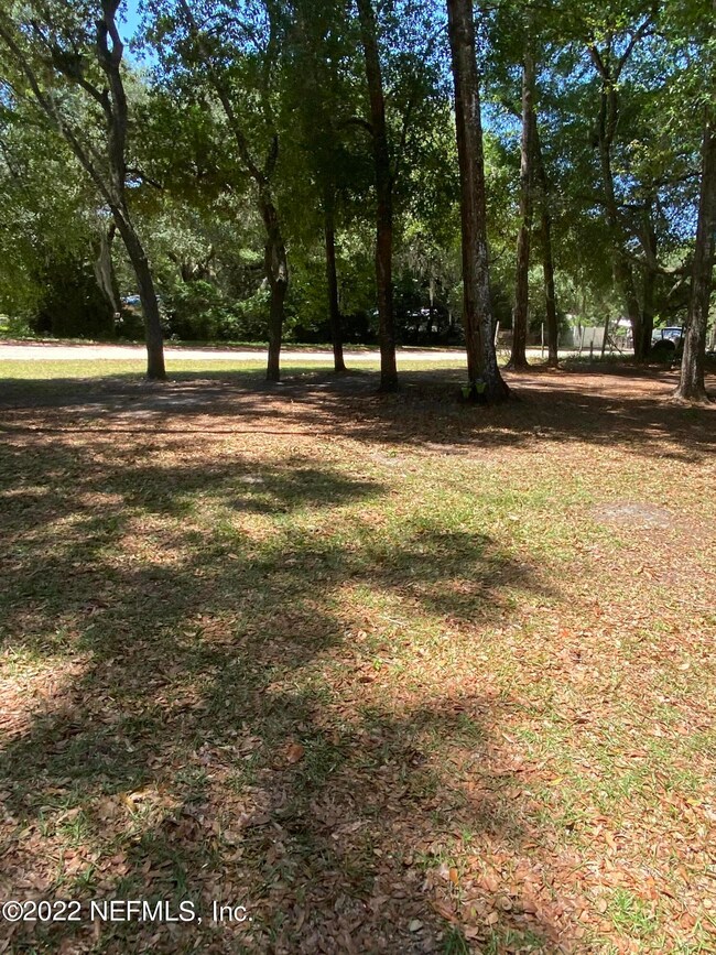 Front Yard
