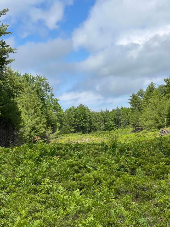 87 Natures Way, Standish, ME 04084 - photo 7