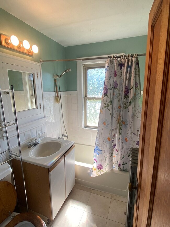 201 E Fremont Ave unit 2, Elmhurst, IL 60126 - photo 5