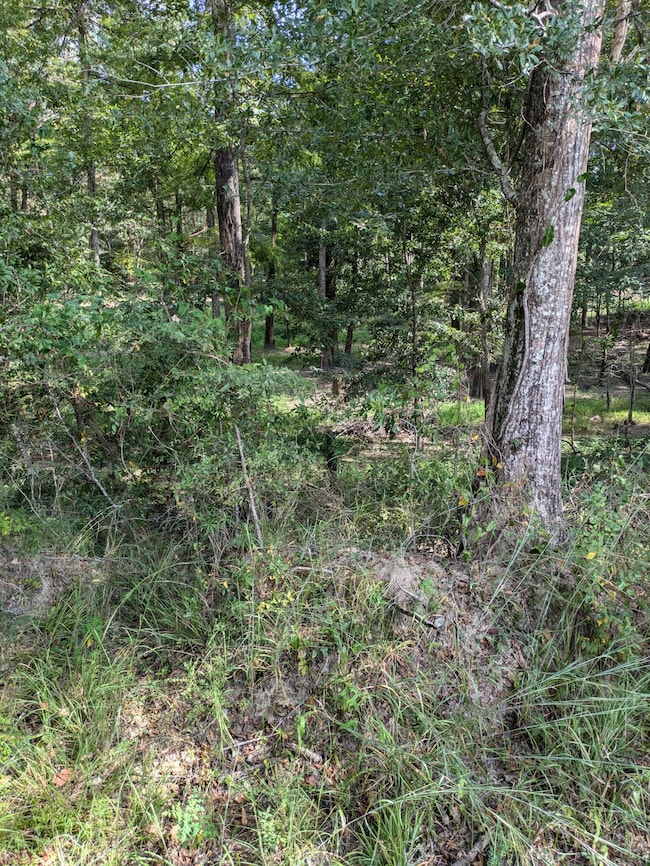 84 Oatis Camp Ln, Columbia, MS 39429 - photo 7