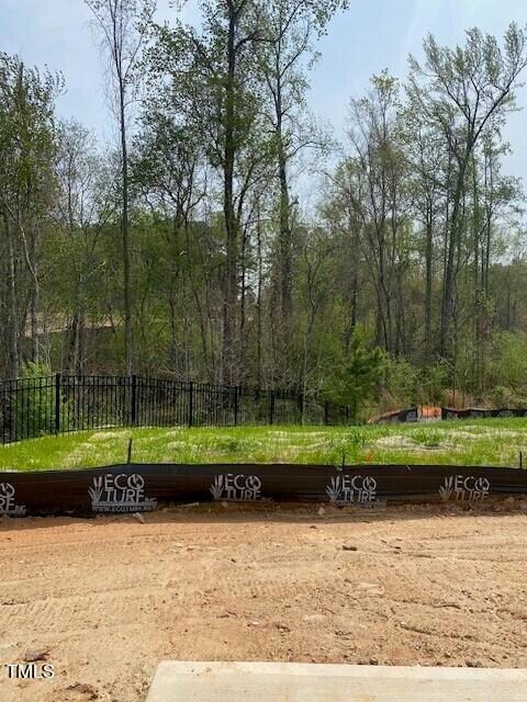 Backyard1