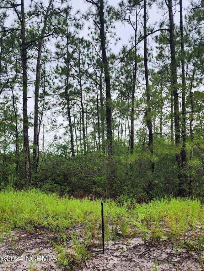 Land Photo