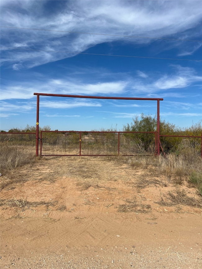 TBD Mathews Sur 52, Santa Anna, TX 76878 - photo 3