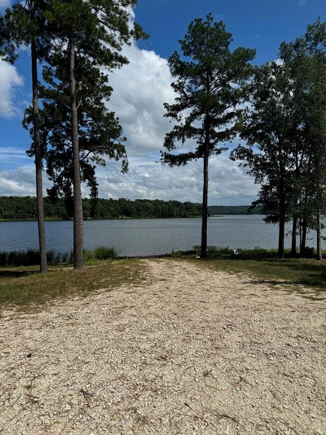 1399 Lakepoint Passage, Nacogdoches, TX 75964 - photo 7