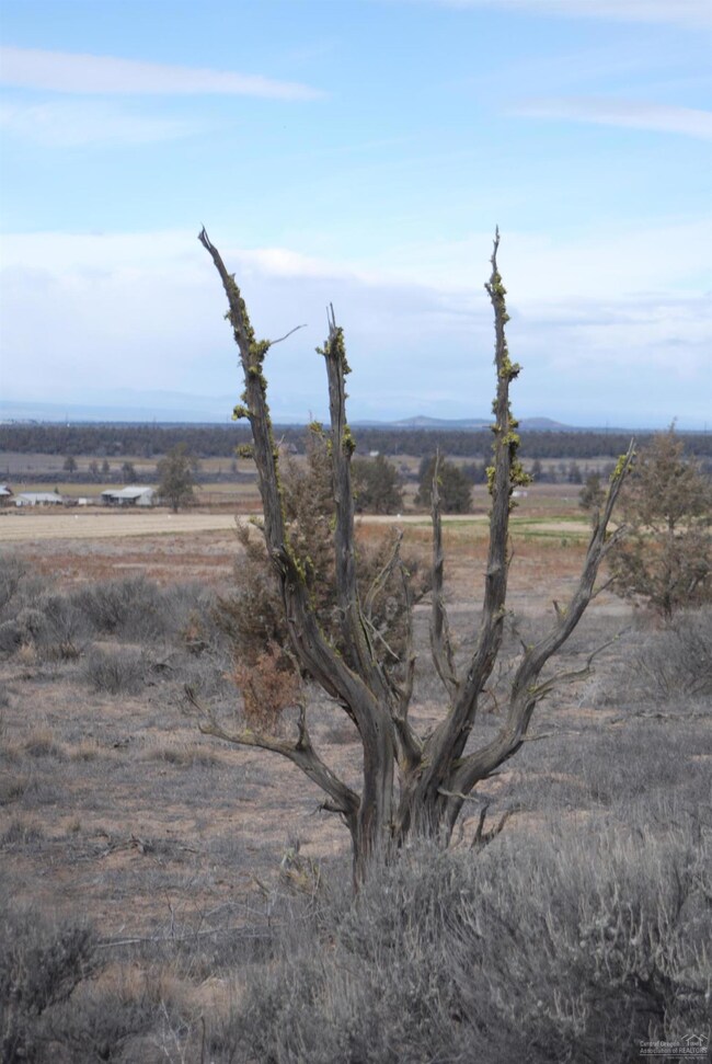 0 SW Rustbucket unit 201800532, Powell Butte, OR 97753 - photo 6