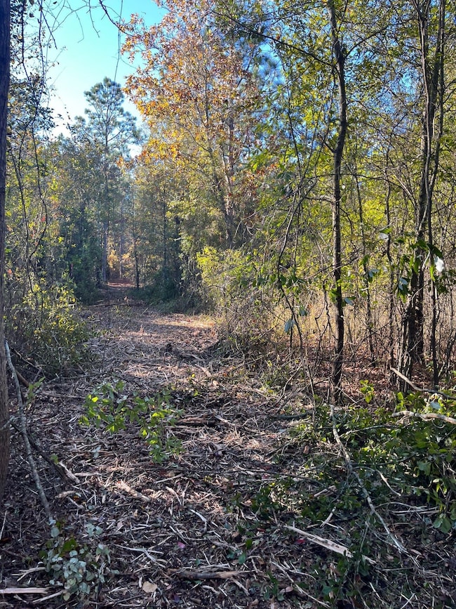 Bhl 1 Boise Cascade Rd, Bethune, SC 29009 - photo 7