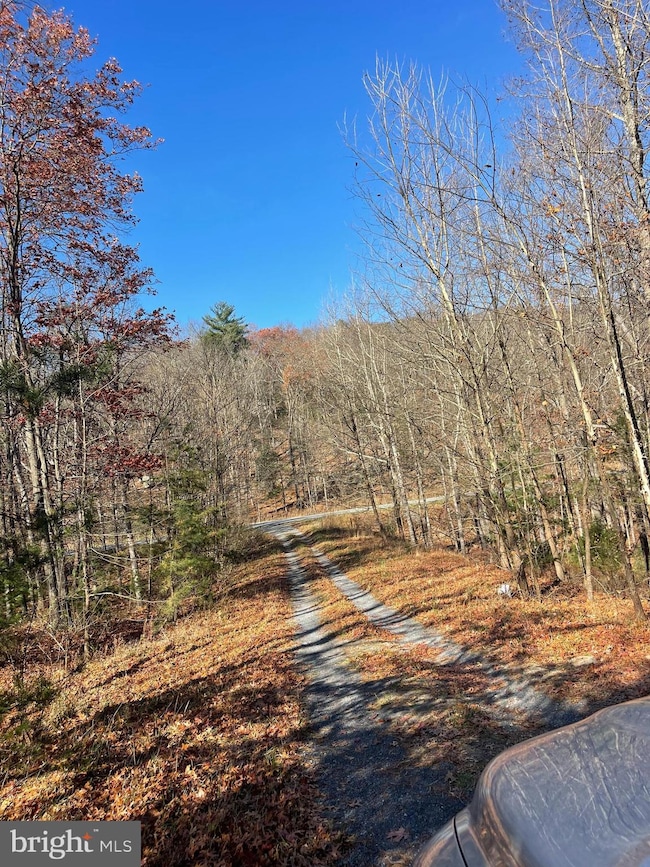 0 Hannah Ct unit WVHS2007062, Yellow Spring, WV 26865 - photo 4